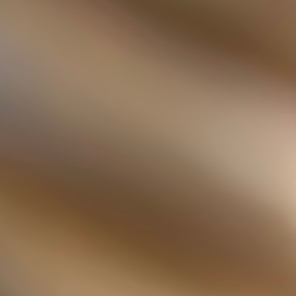 Meet your Posher, Dakota - Picture 1 of 1